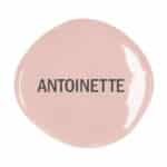 Antoinette